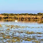 Prázdninový dům Le Douet Vicq-sur-mer Cosqueville